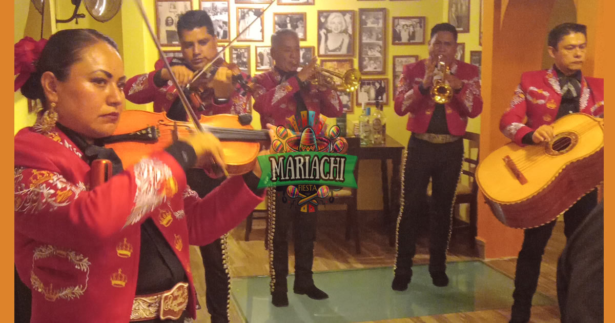 mariachis en la Colonia Vista Alegre